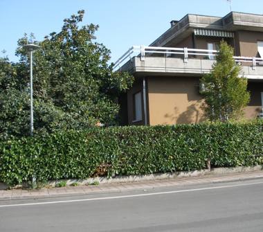 Villetta a schiera in vendita a Busseto (Parma), Via Piave 2