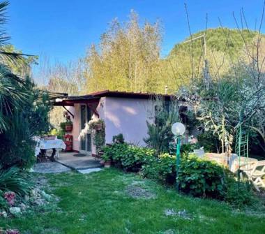 Terreno Agricolo/Coltura in vendita a Piombino, Frazione Baratti, Strada Provinciale della Principessa 9