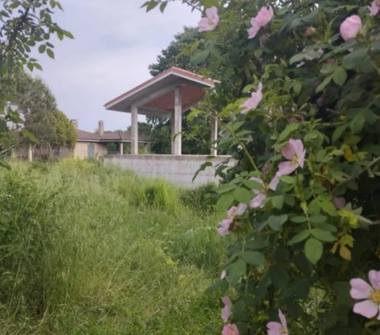 Rustico/Casale in vendita a Oriolo Romano (Viterbo), Strada Poggio Palombino 4