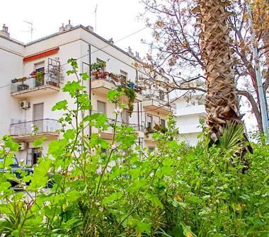 Affitto Appartamento Vacanze a Pescara (Pescara), Via Acquacorrente 79