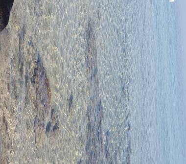 Altro in affitto a Ugento, Frazione Lido Marini