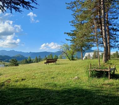 Affitto Appartamento Vacanze a Pescasseroli (L'Aquila), Via delle Pinete 1