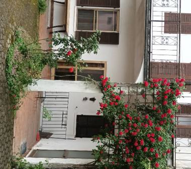 Casa indipendente in vendita a Bassignana (Alessandria), Via Trieste 25