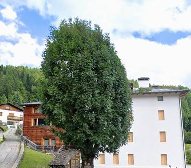 Affitto Appartamento Vacanze a Val di Zoldo (Belluno)