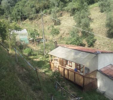 Rustico/Casale in vendita a Pistoia, Frazione Torbecchia, Via di Sciabolino 104