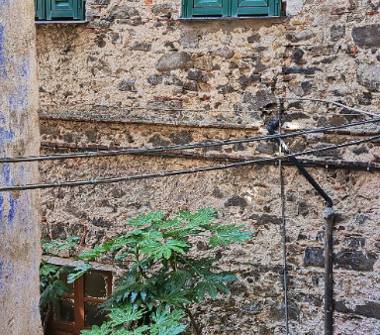 Rustico/Casale in vendita a Ceriana (Imperia), Via Mario Laura 11