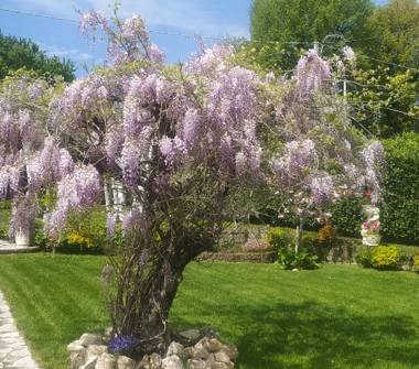 Altro in vendita a San Giorgio del Sannio (Benevento), Via Costa d'Arco 1