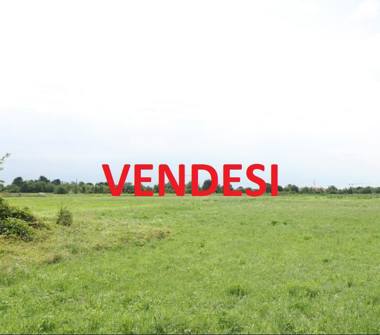 Altro in vendita a San Salvatore Telesino (Benevento), Via gioia 0