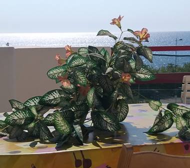 Affitto Casa Vacanze a Andrano (Lecce), Via Giovanni Caboto 1