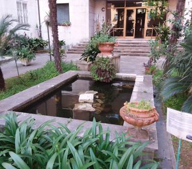 Affitto Stanza Doppia a Roma, Zona Romanina, Via Giacomo Boni 20