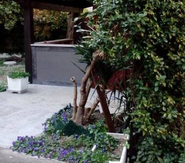 Negozio in vendita a Trieste, Frazione Centro città, Via Domenico Rossetti 75