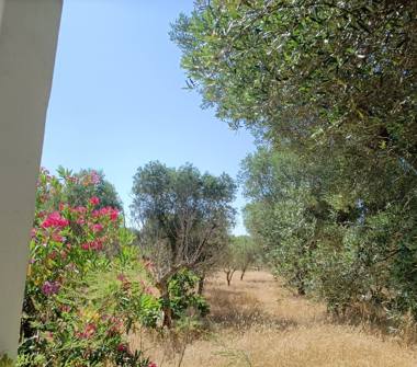 Villa in vendita a San Marzano di San Giuseppe (Taranto), Via Madre Teresa di Calcutta 10