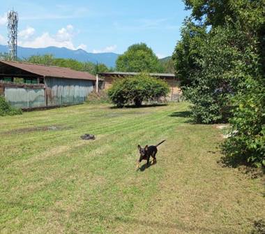 Casa indipendente in vendita a Pieve di Soligo (Treviso), Via Guglielmo Marconi 39