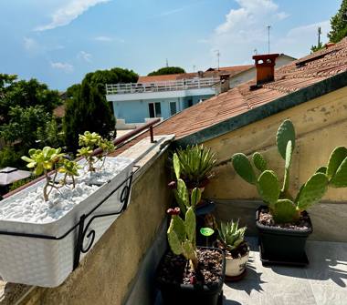 Affitto Appartamento Vacanze a Cervia, Frazione Pinarella, Via Fienilone 24