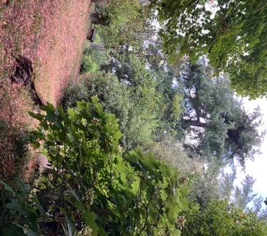 Altro in vendita a Stroncone (Terni), Vocabolo Termine 36