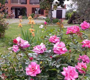 Casa indipendente in vendita a Castiglione del Lago, Frazione Pozzuolo