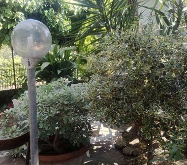 Affitto Stanza Singola a Pisa, Zona Campaldo