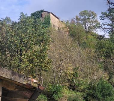 Altro in vendita a Marradi (Firenze)