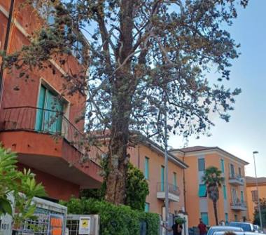 Appartamento in vendita a Ancona (Ancona), Via Ascoli Piceno 103