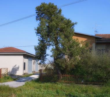 Casa indipendente in vendita a Suzzara, Frazione Brusatasso