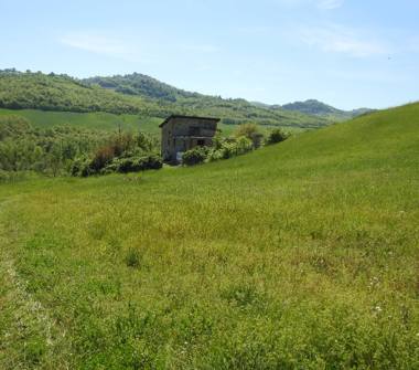 Rustico/Casale in vendita a Marano sul Panaro, Frazione Casona, Via Fondovalle 690