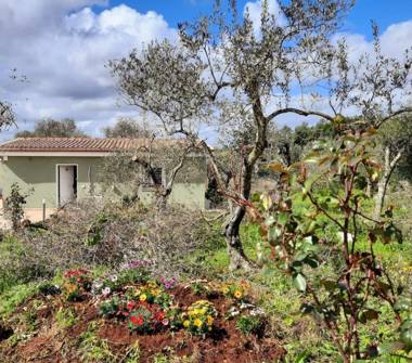 Casa indipendente in vendita a Sassari, Frazione La Landrigga