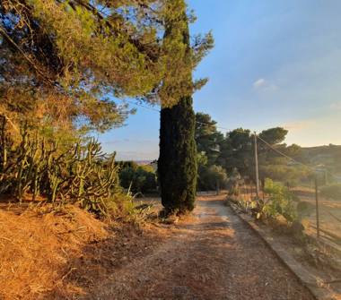 Rustico/Casale in vendita a Caltagirone (Catania)