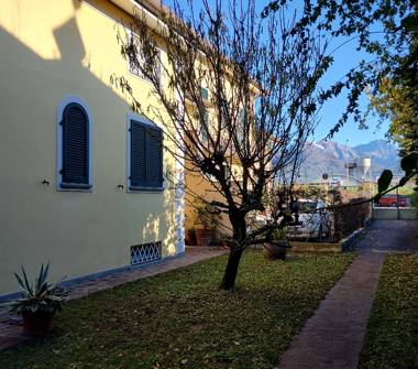 Altro in vendita a Seravezza, Frazione Querceta