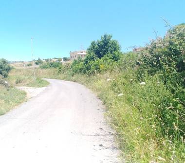 Terreno Agricolo/Coltura in vendita a Civitavecchia (Roma)