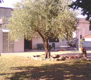 Villa in vendita a Nettuno (Roma)