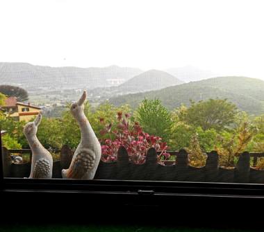 Affitto Appartamento Vacanze a Caiazzo (Caserta), Via IV Novembre 23