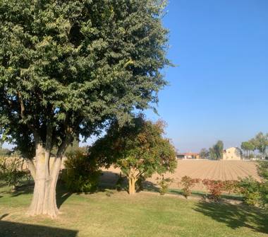 Villa in vendita a Ferrara, Zona Cona