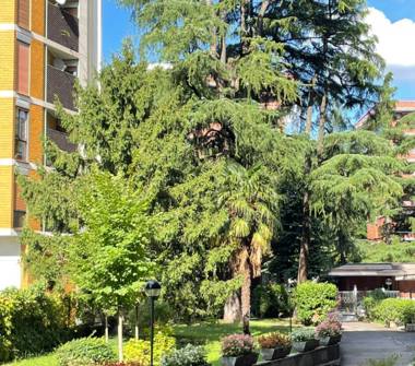 Quadrilocale in vendita a Monza, Zona San Biagio, Via San Gottardo 71