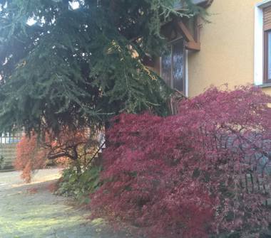 Quadrilocale in affitto a Gorla Maggiore (Varese)