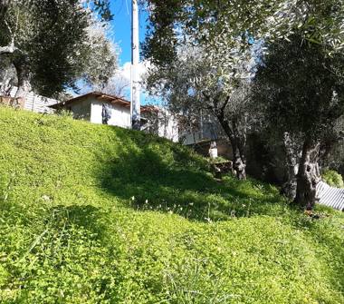 Casa indipendente in vendita a Ficarra (Messina), Strada Provinciale 145 29