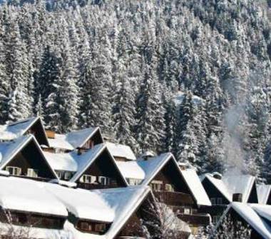 Multiproprietà in vendita a Tarvisio, Frazione Camporosso In Valcanale, via Sella 41