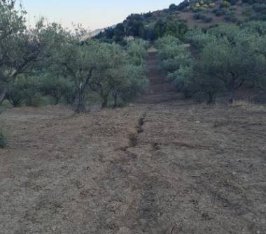 Terreno Agricolo/Coltura in vendita a Leonforte (Enna), Strada Provinciale 39 39