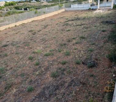 Terreno Agricolo/Coltura in vendita a Ostuni, Frazione Villanova, Contrada Gorgognolo 0