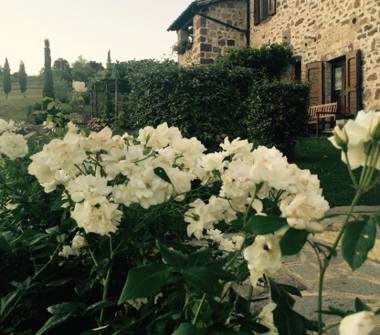 Rustico/Casale in vendita a Radicofani (Siena)