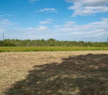 Rustico/Casale in vendita a Scandiano, Frazione Jano