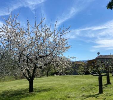 Casa indipendente in vendita a Vicchio, Frazione Santa Maria A Vezzano