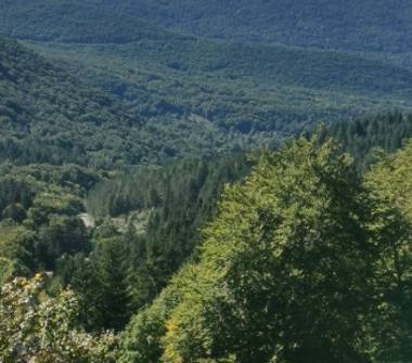 Bilocale in vendita a Filettino (Frosinone)