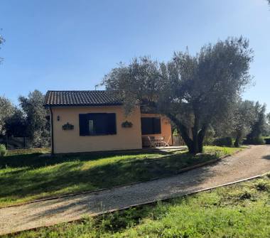 Rustico/Casale in vendita a Montalto di Castro (Viterbo), Strada Regionale 312 Castrense 22