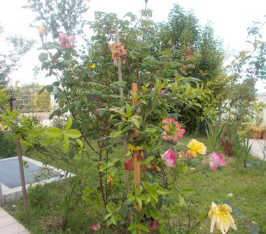Quadrilocale in vendita a Rimini, Frazione Gaiofana