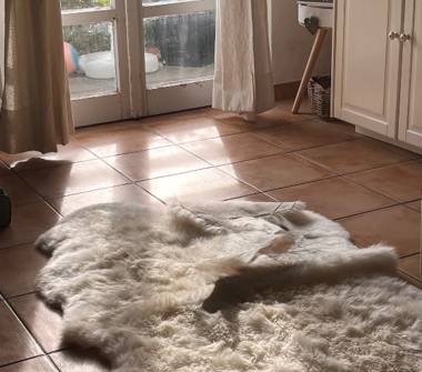 Trilocale in vendita a Polverigi (Ancona)