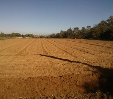 Terreno Edificabile Commerciale in vendita a Nettuno, Frazione Sandalo