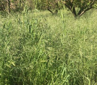 Terreno Agricolo/Coltura in vendita a San Polo dei Cavalieri (Roma), Strada di Colle Secco sc