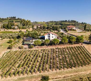 Villa in vendita a Terricciola (Pisa), Via dei Poggiarelli 42