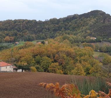 Rustico/Casale in vendita a Francavilla in Sinni (Potenza)