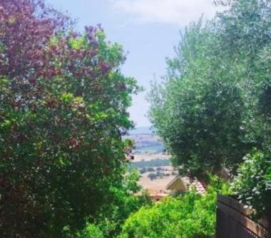 Villa in vendita a Magliano in Toscana, Frazione Montiano